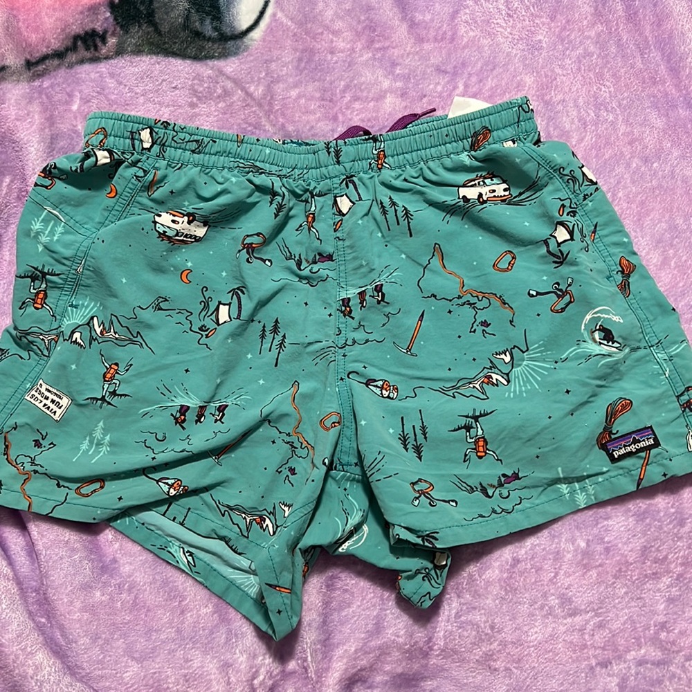 Patagonia baggie shorts
